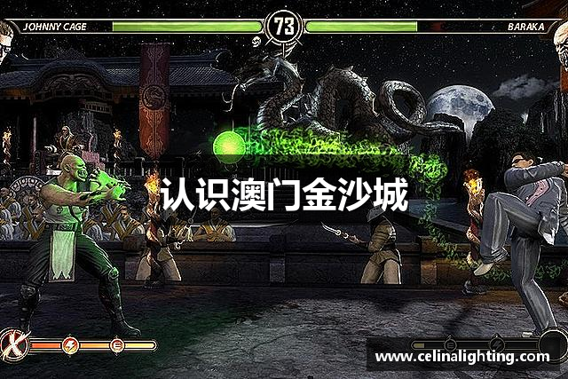 认识澳门金沙城